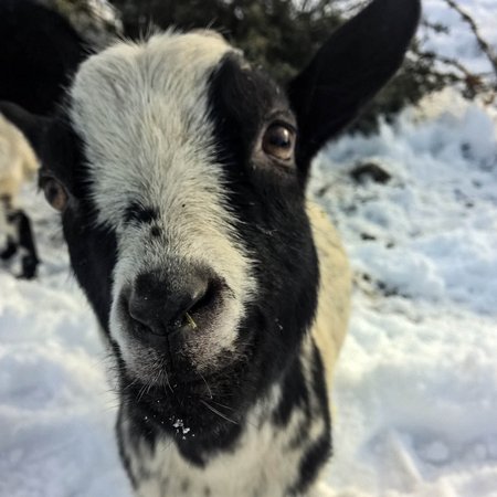 Zauberhafte Winterzeit