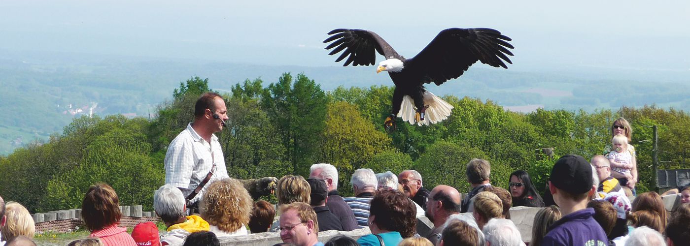Wildpark und Greifvogelzoo Potzberg